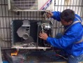 您的zx2035黑白电视机出现故障了吗？如何快速排查问题所在？