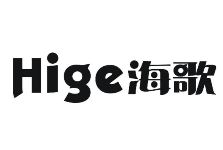 壁挂炉出现e8是什么故障海歌